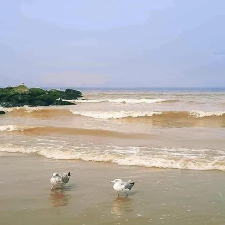 Apartamento In With Sea Views Nieuwpoort