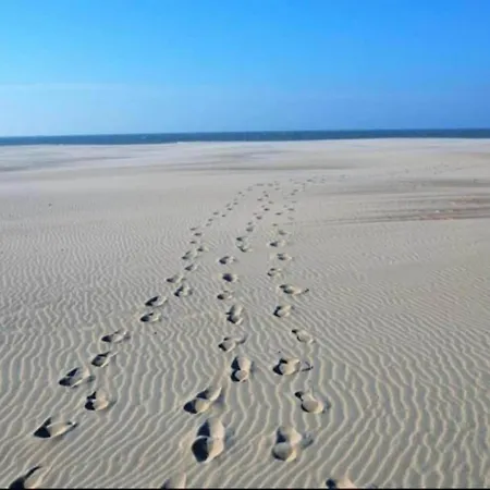 In With Sea Views * Nieuwpoort