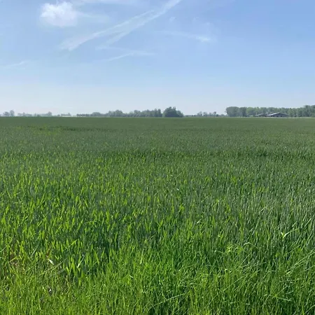 In With Sea Views Apartment *