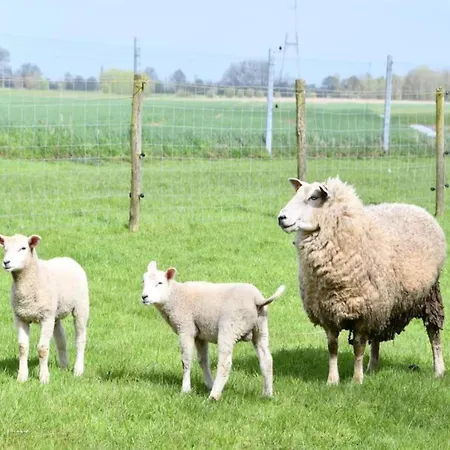 In With Sea Views Apartamento Nieuwpoort