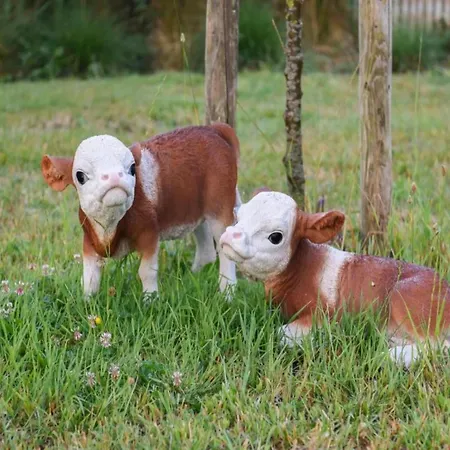 In With Sea Views Nieuwpoort