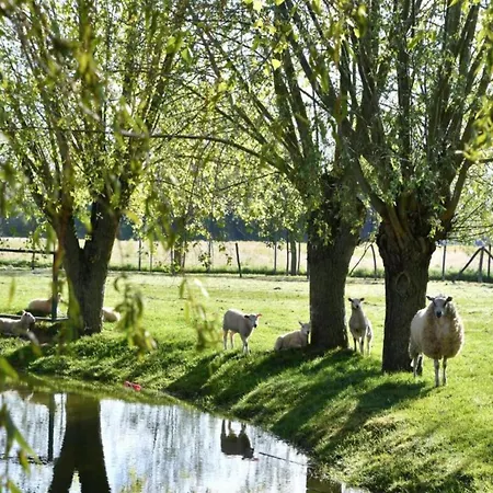 Apartamento In With Sea Views